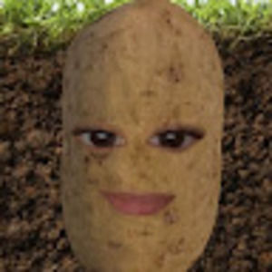 Meet your Posher, Rubi